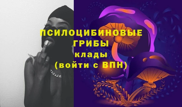 ешки Вяземский