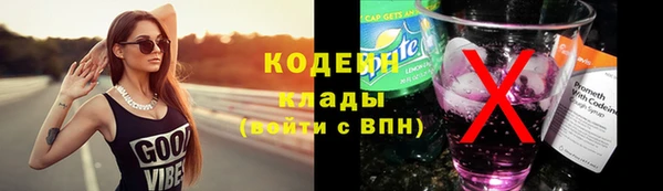 ешки Вяземский