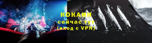 ешки Вяземский