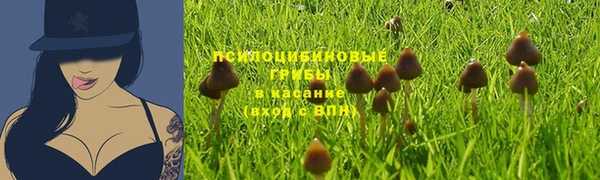 ешки Вяземский