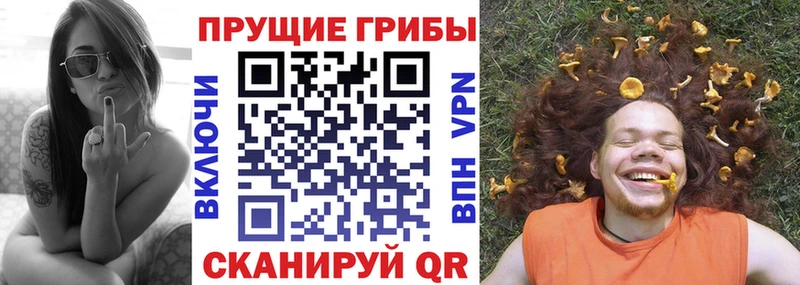 Купить  Реж  Галлюциногенные грибы прущие грибы 